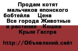 Продам котят мальчиков японского бобтейла. › Цена ­ 30 000 - Все города Животные и растения » Кошки   . Крым,Гаспра